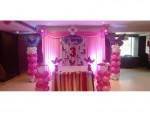Pink Butterfly Theme Decoration