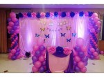 Baby Butterfly Theme Decoration