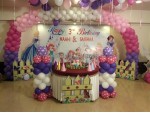 Princess Theme With Balloon Arch Decoration