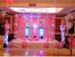 Simple Pink Backdrop Decoration
