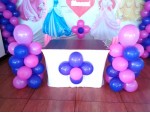 Frozen Theme With Heliuem Balloon Decoration