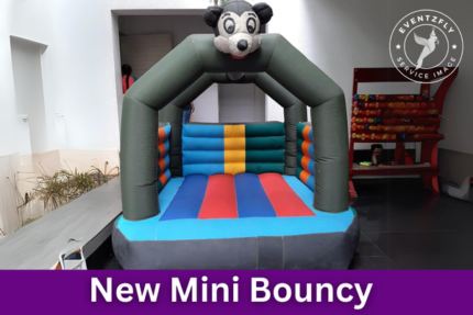New Mini Bouncy